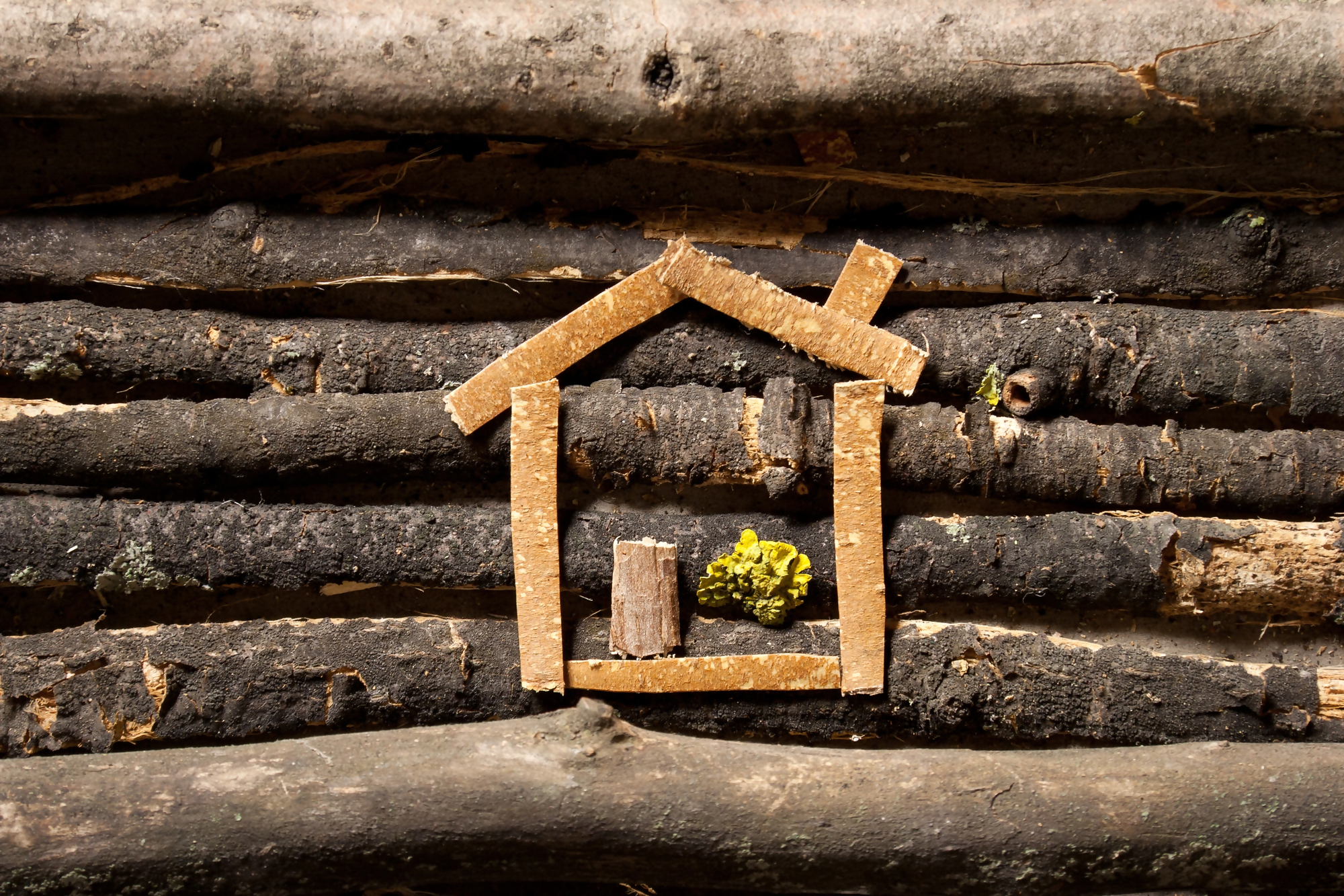 Wykreślenie hipoteki — symboliczny domek z drewna na tle ułożonych gałęzi, obrazujący zakończenie spłaty kredytu hipotecznego i możliwość uzyskania wpisu o wykreśleniu hipoteki z księgi wieczystej.