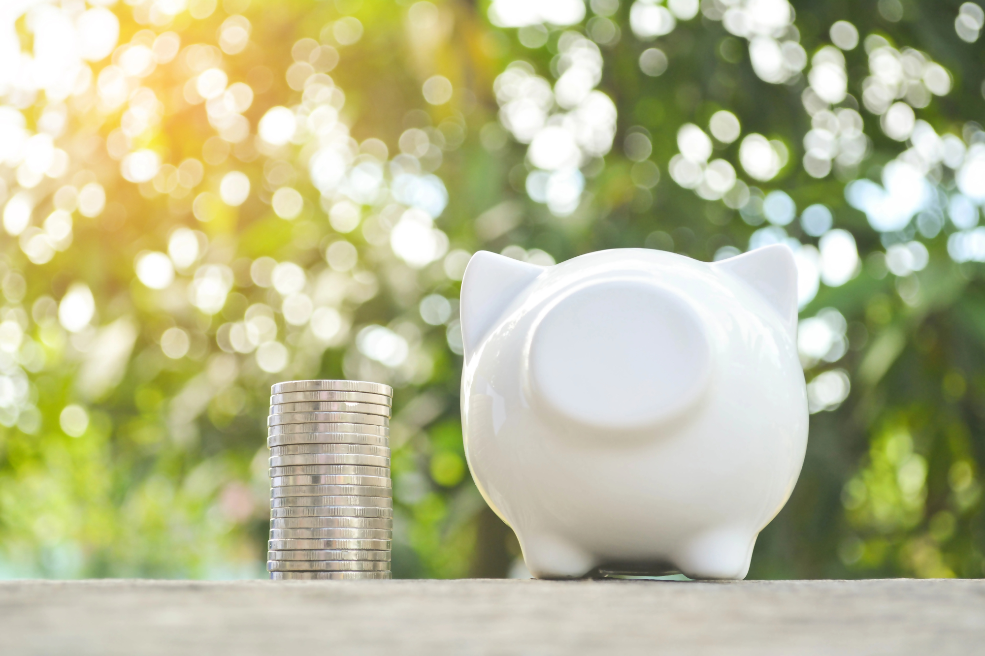 Biała skarbonka w kształcie świnki oraz stos monet na tle zieleni, symbolizujące oszczędzanie pieniędzy i analizę scoringową w finansach osobistych.