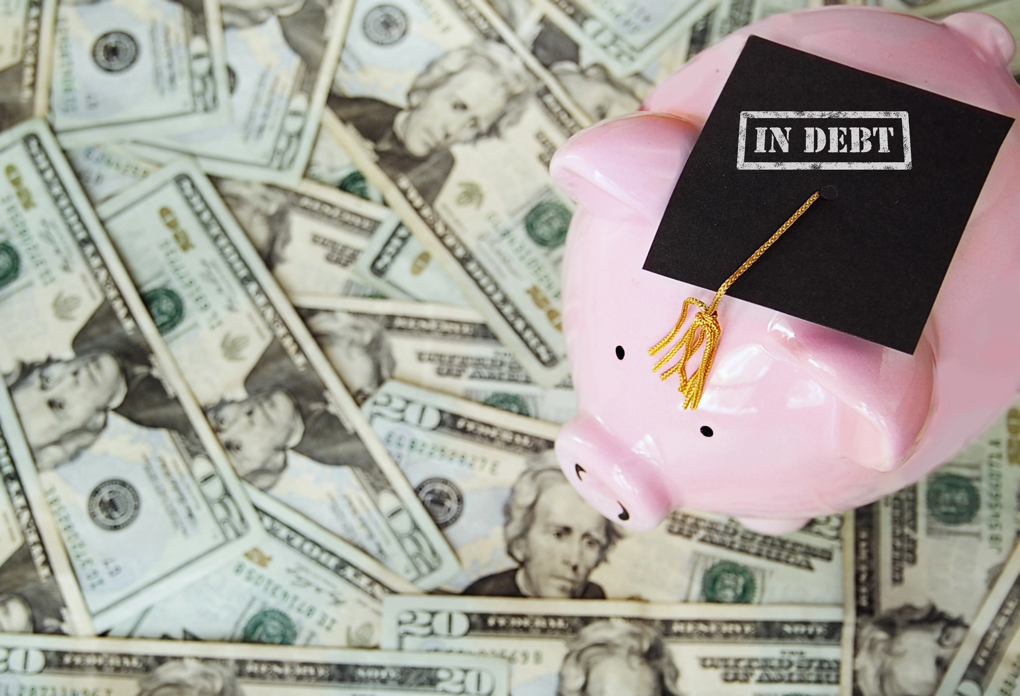 Różowa skarbonka na tle rozrzuconych dolarów z czapką absolwenta i napisem „in debt” – symbolizuje kredyt konsolidacyjny jako sposób na połączenie zadłużenia studenckiego i innych zobowiązań finansowych.