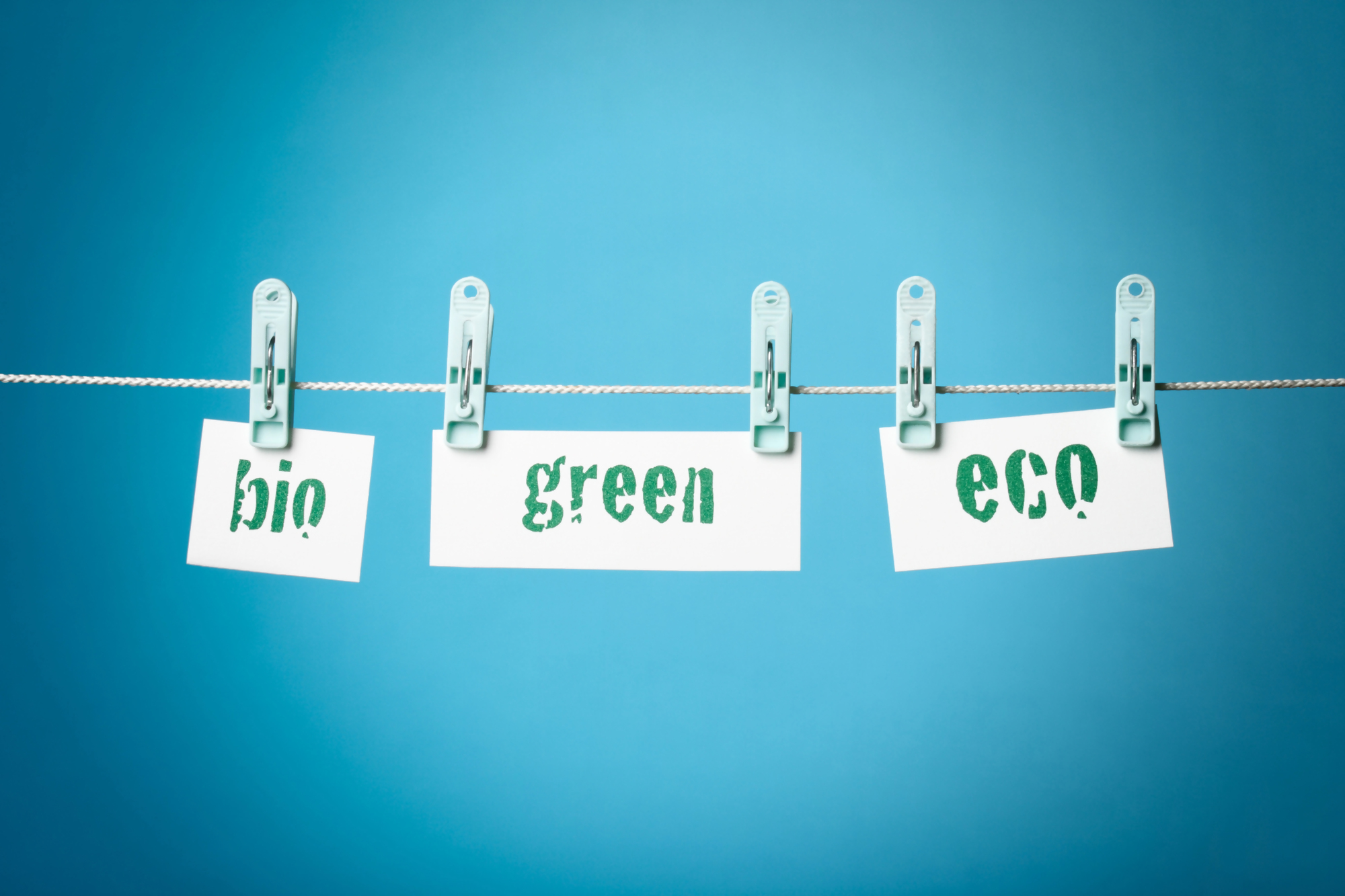 Zielone kartki z napisami "bio", "green", "eco" powieszone na sznurku na tle niebieskiego tła, symbolizujące greenwashing, czyli wprowadzające w błąd praktyki marketingowe dotyczące rzekomej ekologiczności produktów.
